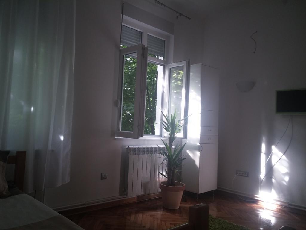 Cricket 2 Hostel بلغراد الغرفة الصورة